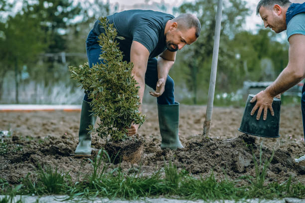 Best Tree Mulching  in Russell, PA